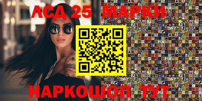 шишки Аргун
