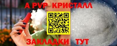 шишки Аргун