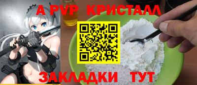 шишки Аргун