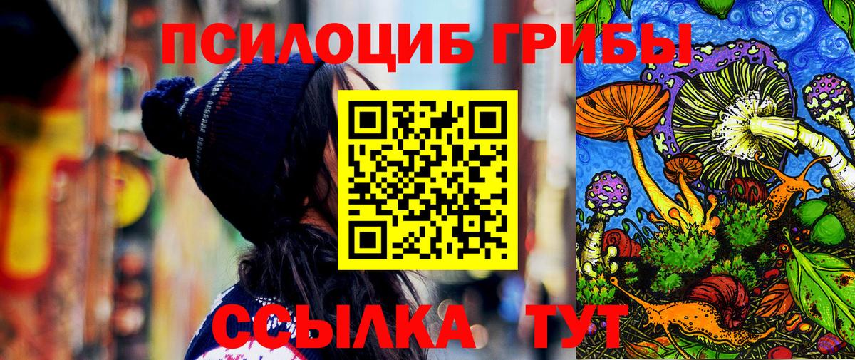 Псилоцибиновые грибы мухоморы Бугуруслан