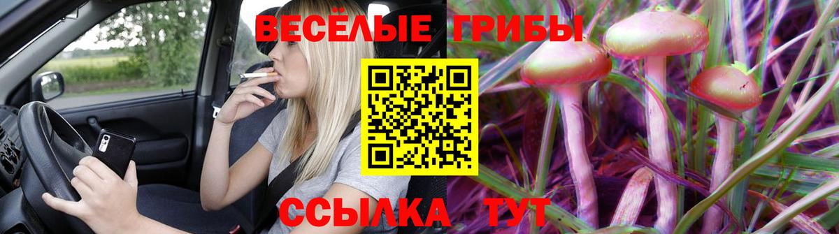 Бугуруслан  магазин    Вход с VPN  Псилоцибиновые грибы Psilocybe 